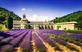 In 1960 and 1961 excavations in the northern part of the rocher des doms directed by sylvain gagnière. Avignon France 5 Not To Miss Attractions