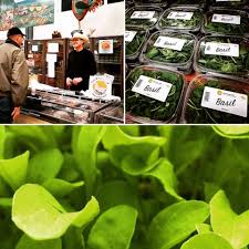 London ontario real estate & st. Morinville Greenhouses Home Facebook