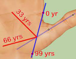 Palm Reading Example Age Calculation For Life Line Palmistry Reading Palm Reading Palmistry