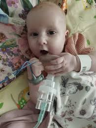 Pamiętnik wojowniczki Lidii  