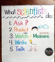 What Scientists Do Kindergarten Science Science