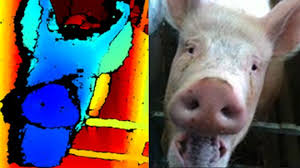 He's professional, speaks confidently and looks me dead in the eye as he asks for my press credentials. Face Recognition Aims To Detect Emotional State In Pigs