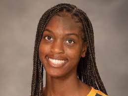 Mizzou volleyball adds 7th portal commit of offseason