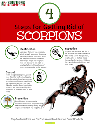 Scorpions are one of our planet's great survivors. Pin On Pest Control