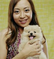 Difference Between a Brittany & a Springer