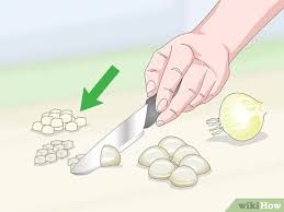 With its concentrated formula, dr. How To Make Garlic Garden Spray With Pictures Wikihow