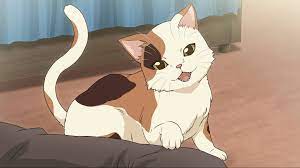 Download Anime Calico Cat Wallpaper | Wallpapers.com