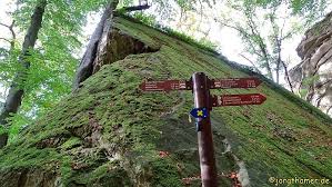 Today we hiked on the mullerthal trail in luxembourg. Mullerthal Trail Die Kleine Luxemburgische Schweiz Erwandern Outdoorsuechtig