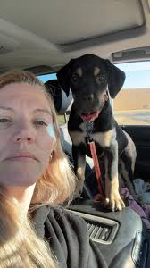 Hello all, (added info to bottom to answer the most common questions I've  been asked. ) Stella is a purebred with papers as well as both her parents  have papers. This is