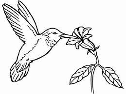 Hummingbird Coloring Pages Hummingbird Coloring Pages Bird Coloring Pages Hummingbird Colors Flower Coloring Pages