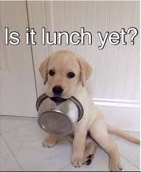Is it lunch yet - image #2274633 by Maria_D on Favim.com via Relatably.com