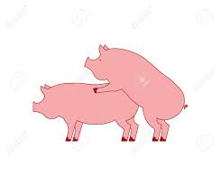 Секс Свиньи. Поросенок Половой Акт. Свиньи Изолированы. Размножение  Сельскохозяйственных Животных Клипарты, SVG, векторы, и Набор Иллюстраций  Без Оплаты Отчислений. Image 108185630