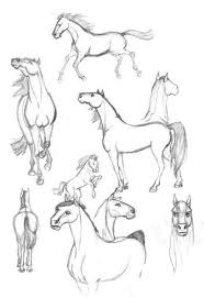 Horses By Aleujenna On Deviantart Horse Drawings Animal Drawings Horse Sketch