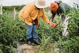 Check spelling or type a new query. The Best Yoga Classes For Gardeners Alo Moves