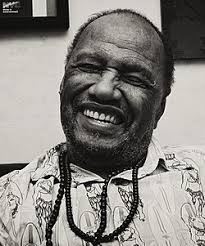 Steve Cannon (writer)