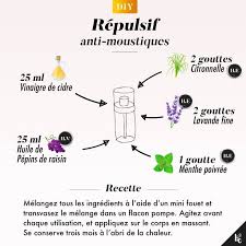 Diy Ultra Simple Et Efficace Creez Votre Huile Anti Moustiques 100 Naturelle Et Qui Sent Bon Anti Moustique Maison Produits De Beaute Faits Maison Moustique