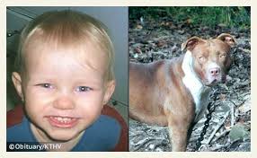 2009 Dog Bite Fatality: Toddler Wanders from Babysitter's Home; Killed by  Pit Bull