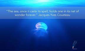 Marine biology quotations to inspire your inner self: Image Result For Marine Biology Quotes Biology Quote Biology Marine Biology