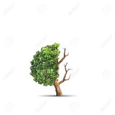 Subscriptions and the htf break short happy new year. The Concept Image Of Ecology Half Alive And Half Dead Tree Stock Photo Picture And Royalty Free Image Image 89279656