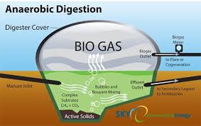 Anaerobic Digestion Turns Dung Into Renewable Energy Anaerobic Digestion Alternative Energy Biomass Energy