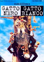 Risultati immagini per gatto bianco gatto nero