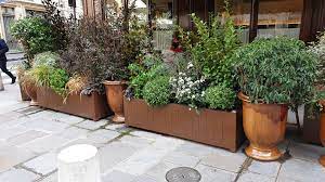 epingle sur caisses a oranger bacs a fleurs