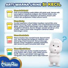 Tetap biru jernih atau sedikit kehijauan dan agak keruh positif air kencing di dalam tubuh yang banyak mengandung kuman, maka juga akan mempengaruhi saluran. Arti Warna Urin Si Kecil Mamypoko Indonesia