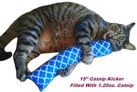 After all, a catnip mouse isn't really a mouse until a human makes it wiggle and slide. West Coast Pet Products 15 Catnip Cat Kicker Toys Kitty Etsy Cats Kitty Pets
