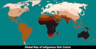 Http Explorations Americananthro Org Wp Content Uploads 2019 09 Chapter 13 Race And Human Variation 3 0 Pdf