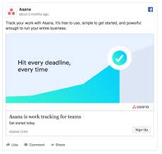Asana Facebook Ad Facebook Ads Examples Best Facebook Facebook Ad