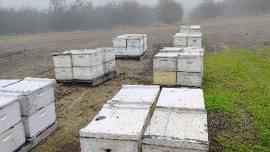 “Millers’ Wonderful Wyoming Honey Ranch in Crowheart Trek”
