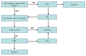 Clinical Practice Guidelines Suprapubic Aspirate