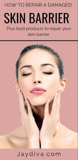 The Skin Barrier How To Repair A Damaged Skin Barrier Damaged Skin Best Skincare Products Food For Glowing Skin