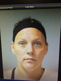 Dansville Police charge woman with dealing drugs