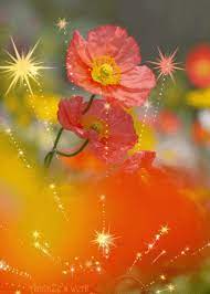 Search, discover and share your favorite garden gifs. Decent Image Scraps Flower Animation Flowers Gif Beautiful Flowers Beautiful Gif