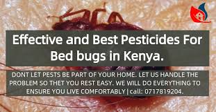 How to get rid of mosquitoes inside the house. 1 Best And Effective Pesticides For Bed Bug Control In Kenya Rafiki Pest Control