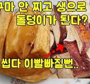 고구마 안 찌고 생으로 말리면 돌덩이가 된다?(이거 씹다 이빨빠질뻔..)고구마말랭이와 생고구마건조 비교실험