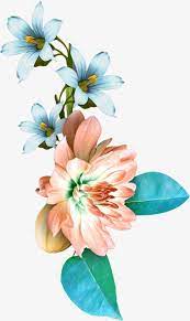 Painted Orchid Orchid Hand Painted Flowers Png Transparent Clipart Image And Psd File For Free Download Digital Flowers Flower Art Flower Painting