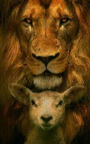 The king of animals as it is frequently referred to, is truly an impressive sight both in the wild and in captivity. Lamb Of God Hd Wallpaper Download