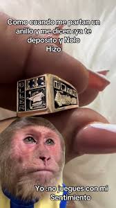 Videos de Rochasjoyeriayrelojeria (@rochasjoyerias) con “Mi Persona  Especial