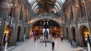 London Natural History Museum Reviews Family Deals