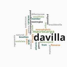 Image result for Ixora kalehensis