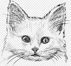 Browse the user profile and get inspired. Kitten Cat Drawing Logo Kucing Lukisan Cat Air Putih Png Pngegg