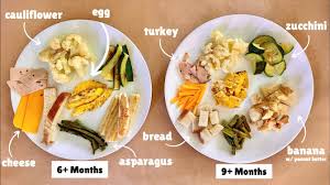 Image result for Infant Nutritional Sources