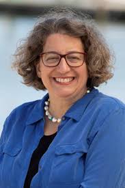 Attack Ads Hit John Avlon in His House Primary Bid in New York