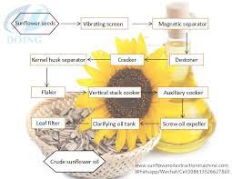 Sunflower Oil Production Process Flow Chart Sunflower Oil Oils Leaf Filter