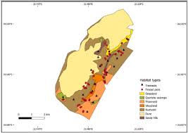 Image result for Hermbstaedtia fleckii