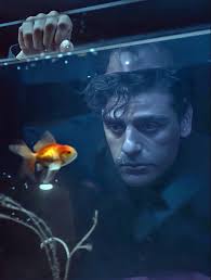 Arizona Aquatic Gardens: Fish Shrimp Snails Plants for Aquariums & Ponds