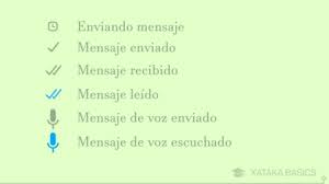 En facebook e instagramse usan diversas palabras en inglés que ya se han hecho parte del español para la comunicación del día a día. Que Significan El Doble Check Azul Y Los Otros Iconos De Estado De Whatsapp Para Los Mensajes