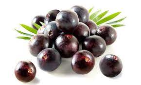 acai informacao nutricional fitness magazine nutricional dieta de frutas berry